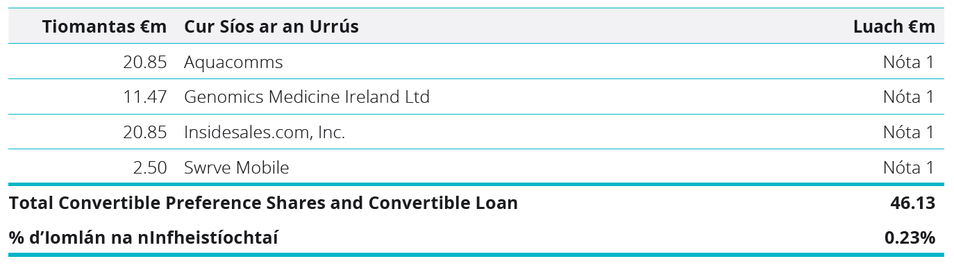 Convertible Preference Shares and Convertible Loan Table