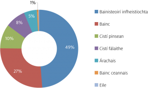 Fig-7---2024-Bond-Syndication-by-Investor-Type_Irish
