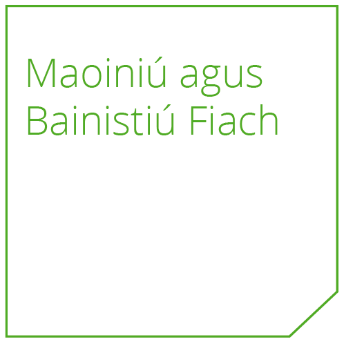 Funding and Debt Management