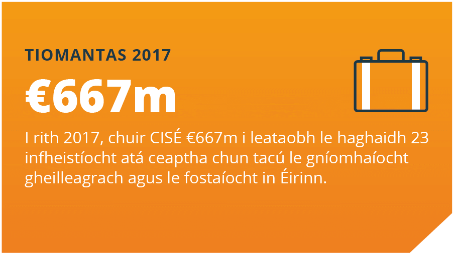 Tiomantas 2017