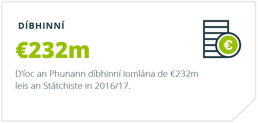 Athbhreithniú Bliantúil Punainne - Díbhinní