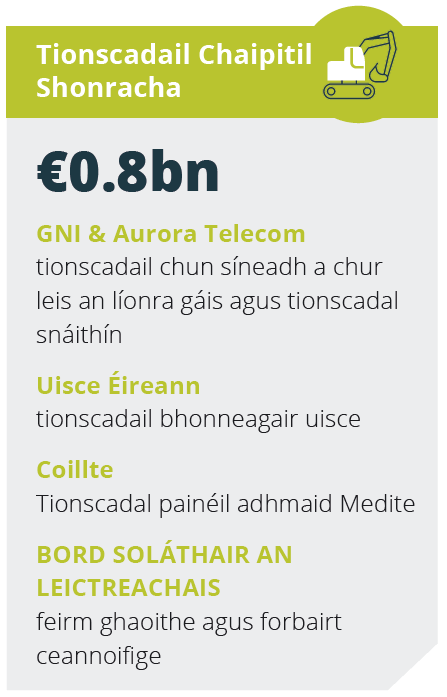 Punann RÉnua - Tionscadail Chaipitil Shonracha
