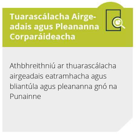 Punann RÉnua - Tuarascálacha Airgeadais agus Pleananna Corparáideacha