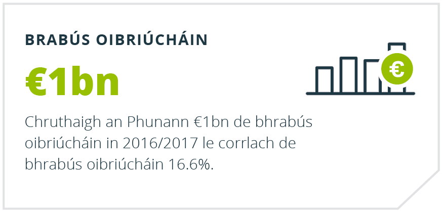 Athbhreithniú Bliantúil Punainne - Brabús Oibriúcháin