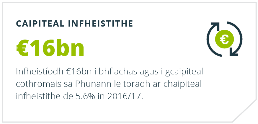 Athbhreithniú Bliantúil Punainne - Caipiteal Infheistithe