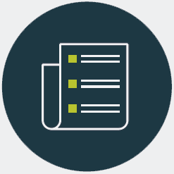 Mid Review of Capital Plan/National Development Plan Icon