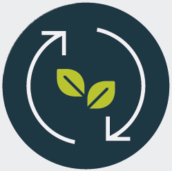 Climate Action and Renewable Energy Icon