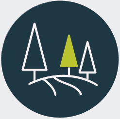 Forestry Icon