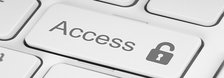 Information Access